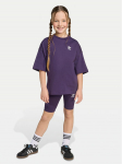 adidas Komplekti kuuluvad t-s&auml;rk ja &scaron;ortsid Cycling JY4873 Lilla Regular Fit