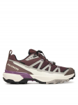 Salomon Matkajalatsid X Ultra 360 Edge Gore-Tex L49098200 Pruun