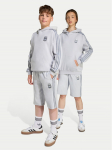 adidas Spordi&scaron;ortsid Minecraft JW7733 Hall Loose Fit