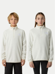 The North Face Fliis Glacier NF0A8CVG Beež Regular Fit