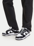 Nike Tossud Dunk Low Retro SE HQ1965 100 Must