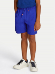 Tommy Hilfiger Spordi&scaron;ortsid Graphic KB0KB09477 Sinine Regular Fit