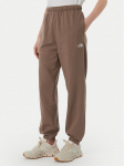 The North Face Dressip&uuml;ksid Evolution Simple Dome NF0A8CWV Helepruun Regular Fit