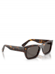 Ray-Ban P&auml;ikeseprillid 0RB7683S Pruun 55