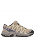 Salomon Matkajalatsid X-Adventure Recon L47813500 Beež