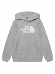 The North Face Pluus TNF&trade; Essential Drew Peak NF0A8H3Y Hall Regular Fit