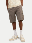Jack & Jones Riidest &scaron;ortsid Jpstjoe 12182555 Hall Regular Fit