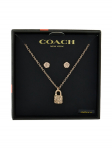 Coach Komplekti kuuluvad kaelakee ja r&otilde;ngad 37541360 Roosa kuld