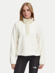 The North Face Fliis Cragmont NF0A8J42 Helebeež Regular Fit