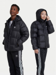 adidas Sulejope adicolor IY7498 Must Regular Fit