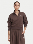 Under Armour Pluus Ua Rival Fleece Varsity 6016557 Pruun Regular Fit