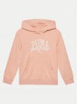 Puma Pluus Class 685829 Roosa Regular Fit 140