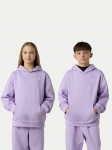 The North Face Pluus Essential NF0A89HA Lilla Relaxed Fit