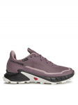 Salomon Jooksujalatsid Alphacross 5 Gtx W GORE-TEX 473110 23 W0 Lilla