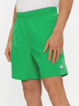 The North Face Spordi&scaron;ortsid Class V Pathfinder NF0A86QM Roheline Regular Fit M