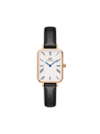Daniel Wellington K&auml;ekell Quadro Roman Numerals Sheffield DW00100689 Must
