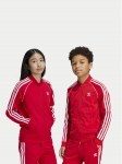 adidas Pluus adicolor IX7629 Punane Regular Fit