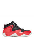 Shaq Tossud EOSS-JUGGERNAUT AQ95041M-BR Punane
