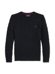Polo Ralph Lauren Kampsun 323702674061 Must Regular Fit