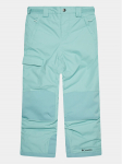 Columbia Outdoor p&uuml;ksid Bugaboo&trade; II Pant Roheline Regular Fit S