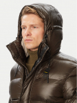 Blauer Talvejope Aldrich 26WBLUK02350 Pruun Regular Fit