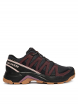 Salomon Matkajalatsid X-Adventure Recon Gtx L49096600 Pruun