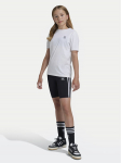 adidas Spordi&scaron;ortsid adicolor IY7483 Must Slim Fit