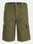 Jack & Jones Junior Riidest &scaron;ortsid 12268381 Khakiv&auml;rviline Relaxed Fit
