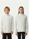 The North Face Fliis Glacier NF0A8CVG Beež Regular Fit L