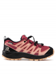 Salomon Matkajalatsid Xa Pro V8 Cswp J 416144 09 W0 Roosa
