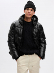 Gap Talvejope 816437-01 Must Regular Fit XL