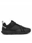Timberland Tossud Winsor Trail Low TB0A6DH2EK91 Must