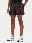 adidas Spordi&scaron;ortsid D4T Power KF0954 Pruun Regular Fit