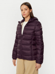 Champion Talvejope 117568 Lilla Custom Fit M