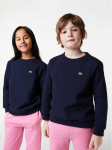 Lacoste Pluus SJ5284 Tumesinine Regular Fit