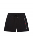 Tommy Hilfiger Ujumis&scaron;ortsid UB0UB00589 Must