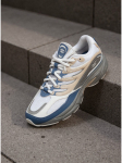 Reebok Tossud EOSS-PREMIER ROAD CONTROL 100233908 Beež