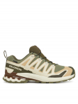 Salomon Matkajalatsid Xa Pro 3D V9 Gore-Tex L47820200 Roheline