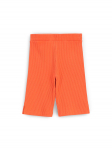 Coccodrillo Spordi&scaron;ortsid WC5122501TGJ Oranž Slim Fit