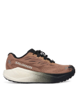 Salomon Jooksujalatsid Aero Blaze 4 L45400500 Pruun