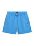 Tommy Hilfiger Ujumis&scaron;ortsid Original Logo Embroidery UB0UB00589 Sinine Regular Fit