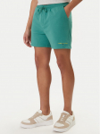 Tommy Jeans Spordi&scaron;ortsid Contrast Linear DM0DM22697 Roheline Regular Fit M