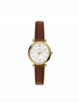 Fossil K&auml;ekell Carlie ES5464 Pruun