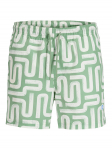 Jack & Jones Ujumis&scaron;ortsid Maui Sand 12291428 Roheline Regular Fit