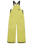 Quiksilver Lumelauap&uuml;ksid Boogie EQKTP03010 Roheline Regular Fit