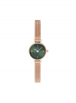 Daniel Wellington K&auml;ekell DW00100742 Kuldne
