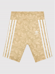 adidas Jalgratta&scaron;ortsid Cycling HC7068 Beež Slim Fit