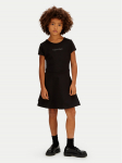 Calvin Klein Igap&auml;evane kleit Skater LVCKSJH02G Must Regular Fit