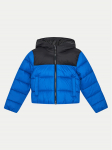 4F Talvejope 4FJWAW24TDJAM462 Sinine Regular Fit