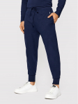 Polo Ralph Lauren Dressip&uuml;ksid 714844763002 Tumesinine Regular Fit
